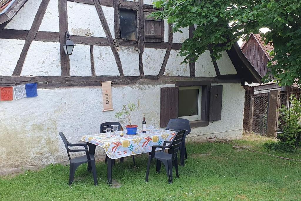 فيلا Le Berger Du Salzbach Romanswiller المظهر الخارجي الصورة